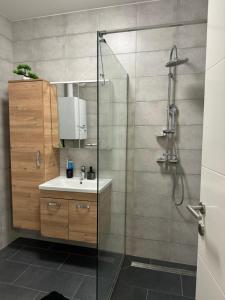een badkamer met een douche, een wastafel en een spiegel bij level UP -self check in in Osijek