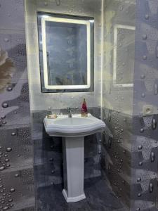 een badkamer met een wastafel en een spiegel bij New Home in Gjoemri