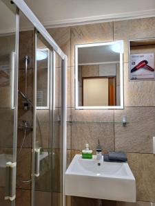 a bathroom with a sink and a shower and a mirror at Pension Sebastian in Mikulov