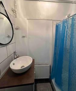 een badkamer met een wastafel, een spiegel en een douche bij Gîte Cosy Hyper Centre * * * in Langeac