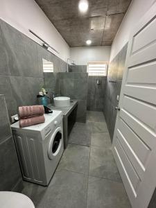 a bathroom with a washing machine and a sink at Pension Irivai appartement PUATOU 1 chambre bord de mer in Uturoa