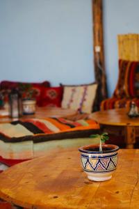 eine kleine Pflanze in einer Schale auf einem Holztisch in der Unterkunft kosasurfmorocco in Aourir