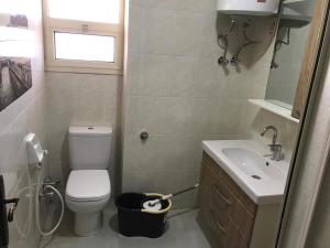 ein kleines Bad mit WC und Waschbecken in der Unterkunft Elite Sea view in Alexandria