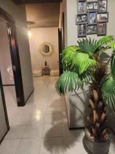 a hallway with a large plant in a room at Aprt 4 Family in Marrakech