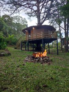 a small cabin with a fire in the grass at Casa na Árvore - Chalé Quemeninho in Apiaí