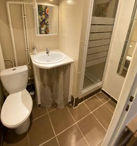 uma casa de banho com um WC, um lavatório e um chuveiro em Joli studio centre historique et au calme (2) em Montpellier