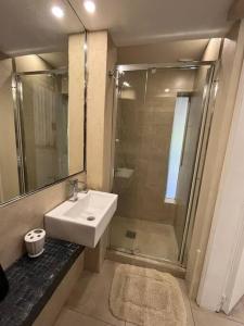 een badkamer met een wastafel en een glazen douche bij Departamento San Isidro con Luz, Aire y Verde in San Isidro