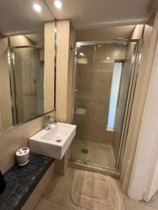 une salle de bain avec un lavabo et une douche en verre dans l'établissement San Isidro Luz y Verde, à San Isidro