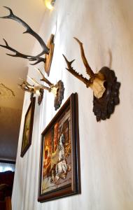 Fotografie z fotogalerie ubytování Le Gîte de l'Ecureuil v destinaci Sturzelbronn