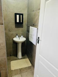 een badkamer met een wastafel en een spiegel bij Winbert Apartments in Ladysmith
