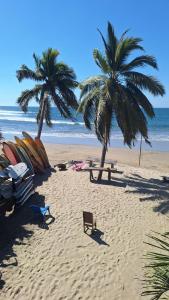 two palm trees and a bench on the beach at Chuchosmom room 3 in Temalhuacán