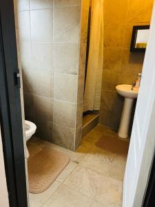 a bathroom with a shower and a toilet and a sink at Winbert Apartments in Ladysmith