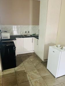 a small kitchen with a sink and a refrigerator at Winbert Apartments in Ladysmith