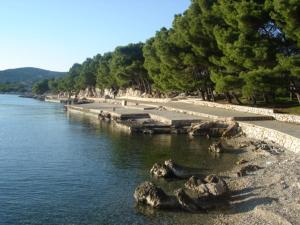 Gallery image of Apartments Laura i Angelina in Tribunj