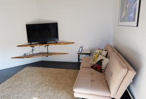 a living room with a couch and a flat screen tv at Chambres d'Hôtes Doux Brazil in Lisle-sur-Tarn