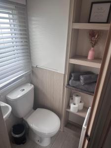 a small bathroom with a toilet and a sink at Seton sands holiday village in Port Seton