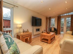 uma sala de estar com um sofá e uma televisão em Wainwright Lodge em Windermere