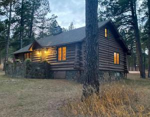 a log cabin in the middle of a forest at Historic Log Cabin #14 at Horse Creek Resort in Rapid City