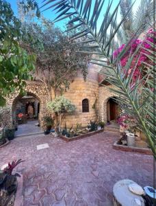 Taman di luar Dream Lodge Siwa دريم لودج سيوة +61 gambar