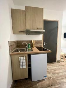 a small kitchen with a sink and a counter at Studio rénové à 15 min de Lyon in Saint-Fons