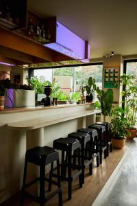 uma fila de bancos num bar num restaurante em The Somos Flats Central Poblado em Medellín