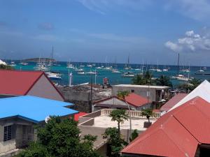 Duplex Marigot centre-ville في ماريجوت: اطلالة على ميناء مع قوارب في الماء