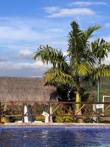 una piscina con una palmera junto a una valla en Hotel Campestre Palmas del Zamorano en San Gil