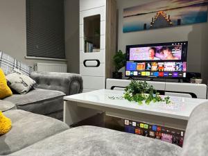 TV tai viihdekeskus majoituspaikassa Luxury apartment in Slough FREE Parking near Heathrow, Legoland & Windsor Castle