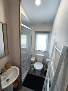 een badkamer met een toilet, een douche en een wastafel bij Emi's Caravan in Port Seton