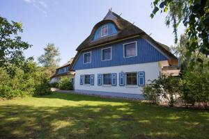 a blue and white house with a grass yard at Wiesenidyll in Wieck