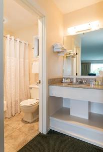 a bathroom with a toilet and a sink and a mirror at Wonder View Inn in Bar Harbor