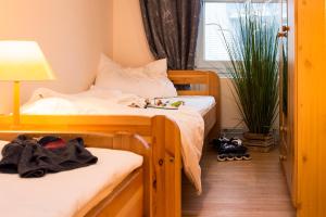 1 Schlafzimmer mit 2 Einzelbetten und einer Pflanze in der Unterkunft Dünenresidenz - Ferienwohnung 13 "Sandburg" in Juliusruh