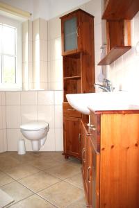 a bathroom with a sink and a toilet at Ferienhaus Lütt Eiland in Polchow