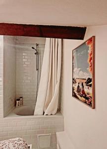 a bathroom with a shower with a shower curtain at Le Cosy Macaron - Au cœur de Versailles in Versailles