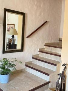 a staircase with a mirror and a potted plant at Casa de dos plantas in Mercedes