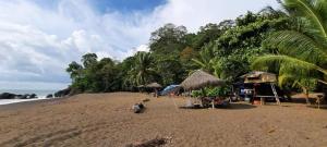 una playa de arena con una cabaña y el océano en Casa jungla bahía Drake, en Drake
