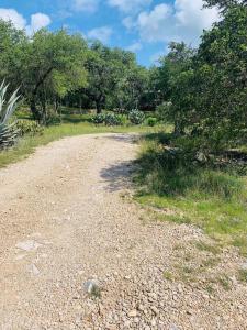 a dirt road in a field with trees at Mosaic On The Hill in San Marcos