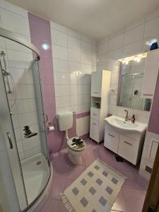 y baño con aseo, lavabo y ducha. en Apartments with a parking space Lun, Pag - 21905, en Lun