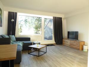 a living room with a couch and a tv at Sunshine Winterberg Ferienwohnung Pool Sauna Terrasse Wifi in Winterberg