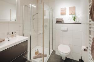 a bathroom with a shower and a toilet and a sink at Haus Salz & Sand Whg Sand in Norderney