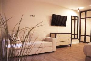 a living room with a couch and a flat screen tv at Das Rosenhaus - luxoriöses Ferienhaus mit viel Platz für die ganze Familie von "Momentic" in Timmendorfer Strand