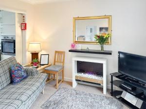ブリクサムにある9 Dolphin Courtのソファと暖炉のあるリビングルーム