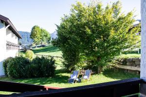 2 chaises longues et un arbre sur une cour dans l'établissement GreenHill 4 - mit Privatsauna, à Oberstaufen