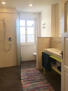 a bathroom with a shower and a sink at Rosinas - Alte Küche in Oberstaufen