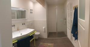 La salle de bains blanche est pourvue d'un lavabo et d'une douche. dans l'établissement Rosinas - Christian, à Oberstaufen
