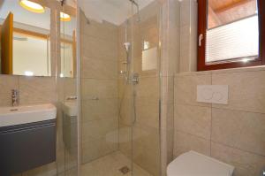 a bathroom with a shower and a toilet and a sink at Ski-in Ski-out Chalet Maiskogel 17C - by Alpen Apartments in Kaprun +23 photos