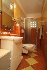 Un baño con inodoro, ducha y lavabo. en Apartments by the sea Zavala, Hvar - 8809, en Jelsa