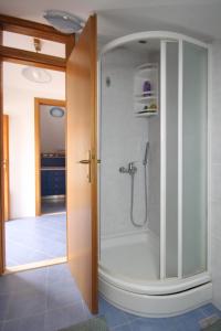 a shower with a glass door in a bathroom at Apartments with a parking space Mocici, Dubrovnik - 9081 in Mlini