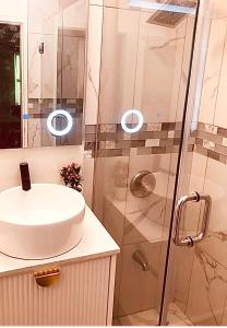 y baño con lavabo y ducha. en HCeas guest apartment en Bon Accord