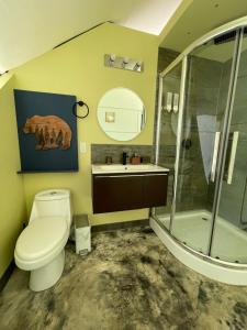 La salle de bains est pourvue de toilettes, d'une douche et d'un lavabo. dans l'établissement LUXURY ECO, à Boquete